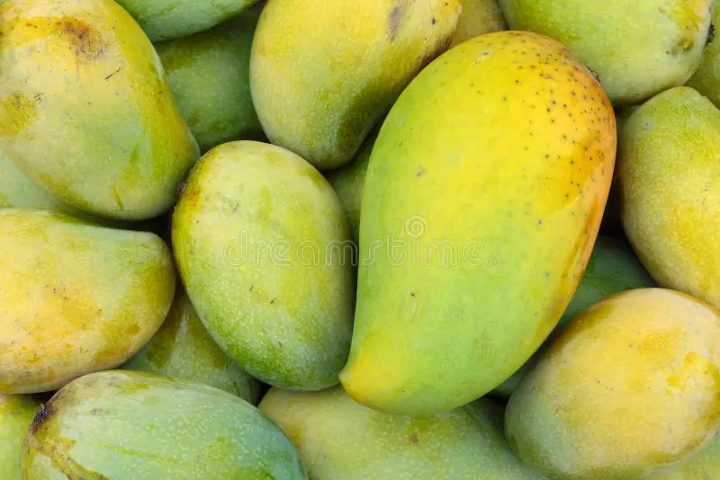 Mango Manila