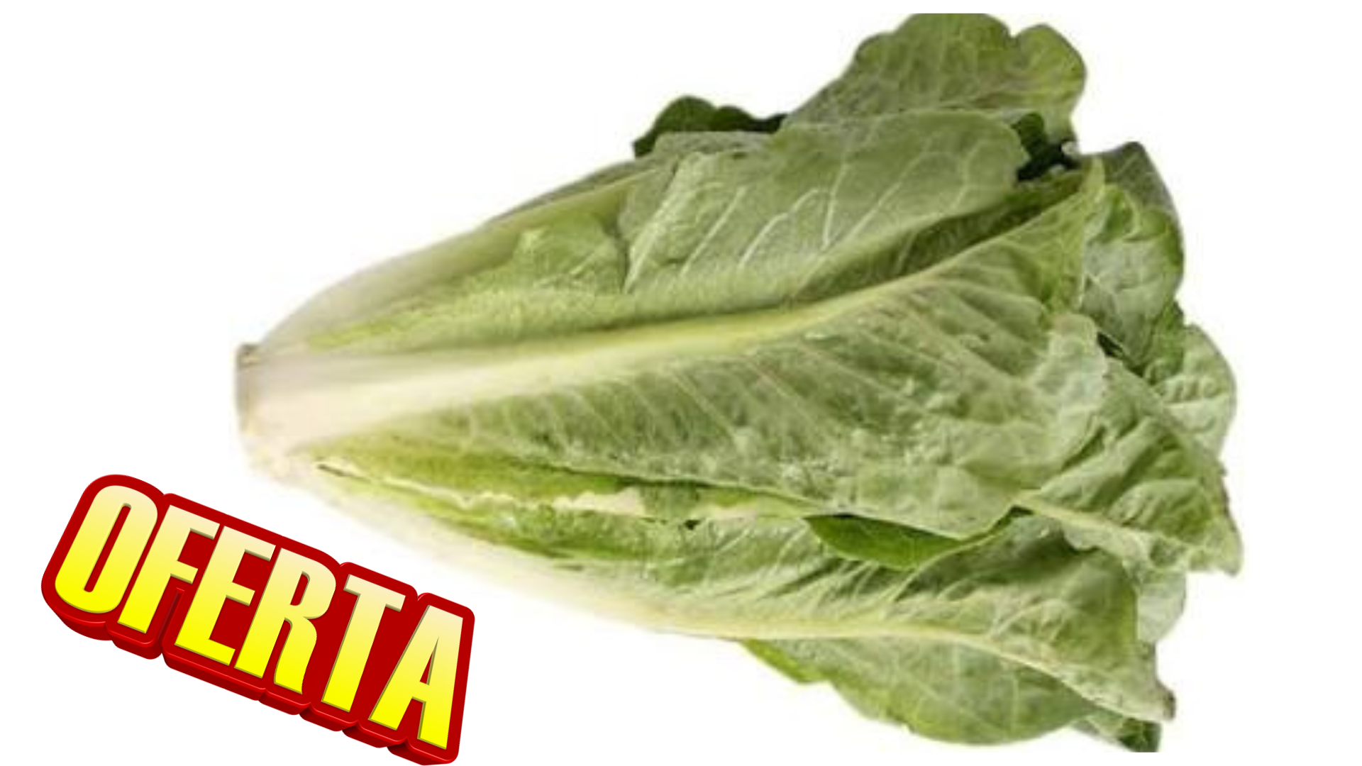 LECH. OREJONA SIN EMPAQUE