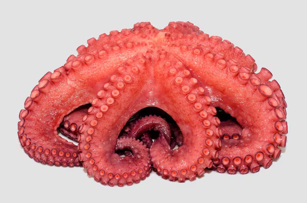 Pulpo Cocido NG (.800gr)