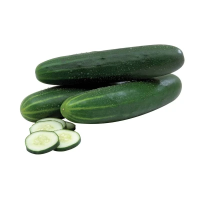 Pepino